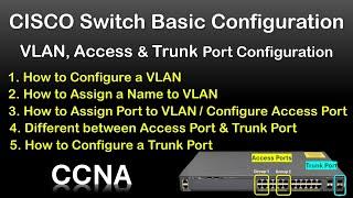 VLAN Access Port & Trunk Port Configuration in CISCO Switch  Cisco Switch basic Configuration