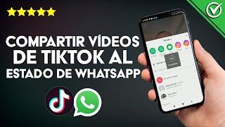 ¿Cómo Compartir Videos de TikTok al Estado de WhatsApp? - Android e iOS