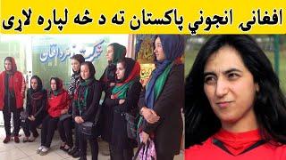 Afghani Jenakyani Pakistan ta lari  افغانۍ انجوني پاکستان ته د څه لپاره لاړی