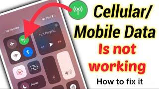 Cellular Mobile Data Is Not Working On IPhone Fixed  Mobile Data Problems