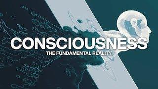 Consciousness The Fundamental Reality