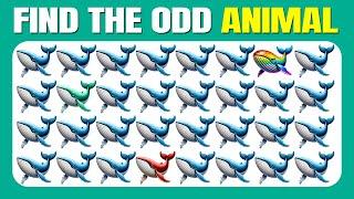 Find The Odd One Out - Marine Animals Edition   Easy Medium Hard - 30 Ultimate Levels