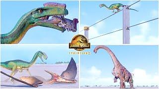 Proceratosaurus All Perfect Animations & Interactions  Jurassic World Evolution 2 - JWE2