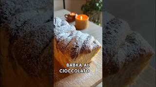 Babka sofficissimo al cioccolato 