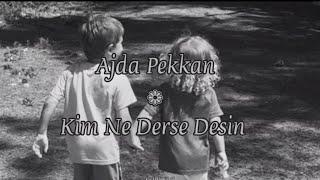 Ajda Pekkan Kim Ne Derse Desin Lyrics-Sözleri