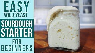 SOURDOUGH STARTER RECIPE + Maintenance Guide  Perfect for Beginners step by step