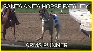 Horse fatality at Santa Anita - Arms Runner March 31 2019