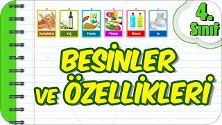 Besinler ve Özellikleri  4.Sınıf Fen #2023