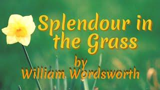 Splendour in the Grass by William Wordsworth