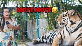 TIGER PARK MEI HUA SHANAYA PAR PHIRSE PRANK  THAILAND EP.04  SHANAYA MASROOR