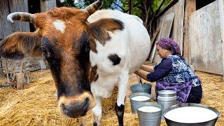 Cooking Healthy and Delicious Dishes from Fresh Milk Life in the Village