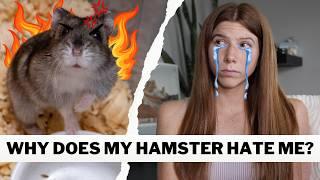 Does your Hamster Hate You?