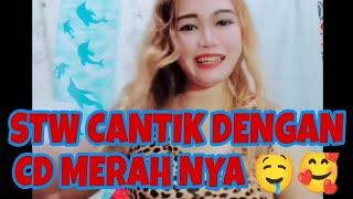 STW CANTIK PAMER CD MERAH  #stw #subscribe #cantante #cantik