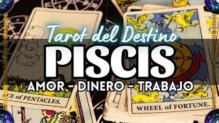  Piscis ️ EMPIEZAS UNA RELACIÓN NUEVA Y CUMPLIRÁS TUS SUEÑOS MIRA  #piscis Tarot del Destino