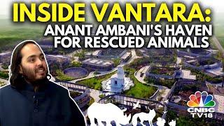 Inside Anant Ambanis Vantara  Reliance Foundations Animal Rescue & Care Facility  N18V