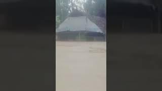 Kondisi Banjir di Aceh Timur Awal tahun 2022 #aceh #prayforaceh #shorts #shortsvideo