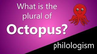 What is the plural of Octopus?