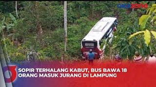 Sopir Terhalang Kabut Bus Bawa 18 Orang Masuk Jurang di Lampung