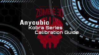 Anycubic Kobra Small Calibration
