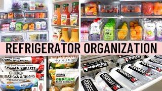 REFRIGERATOR ORGANIZATION IDEAS  Clean Declutter and Organize With Me Budget Fridge Organization