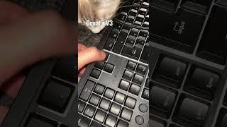 Клавиатура после двух недель Razer Ornata V3