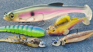 Summer Swimbaits For Bass Big And Small