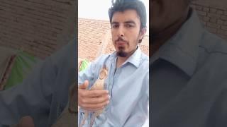 Kia ap dosto ne aisa mast tetar deka ha #birdslover #partridge #tetar #viral #trending