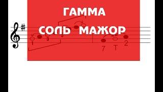 Гамма соль мажор. Сольфеджио.