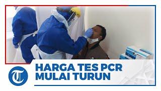 Harga Tes PCR di PT Quicktest dan Klinik Pratama Condet di Kisaran Rp500 ribu