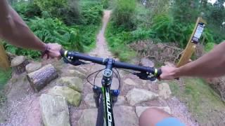 Mountain Biking at Thetford Forest