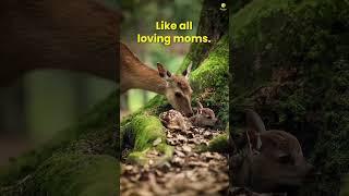 Remember that Mommy loves you 