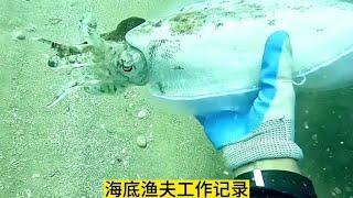 渔民在海底捕鱼日常生活实拍#赶海 #海底捕鱼 #渔民生活实拍