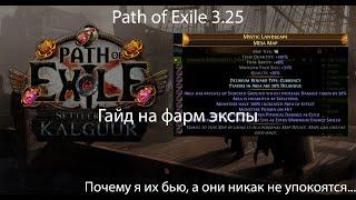 Path of Exile 3.25  Гайд на фарм опыта или почему ходячие мертвецы отдыхают в сторонке...