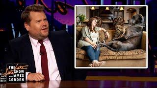 James Corden Has A Bone To Pick w Worlds Biggest Dog