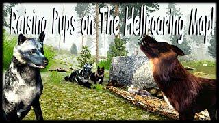 Raising Pups on Hellroarings map -WolfQuest 3 Anniversary edition