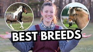 Best Breeds for First-Time Horse Owners