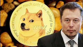 ایلان ماسک درباره ارزدیجیتال دوج کوین و شیبا اینو#doge #shiba