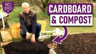 No-Dig Gardening for Beginners Step-by-Step Guide with Cardboard and Compost