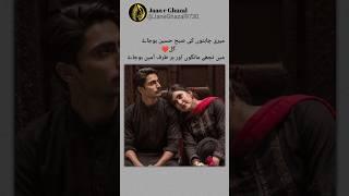 couple Urdu poetry Urdu poetry status #shortsvideo #viralshorts #viral #ytshorts #whatsappstatus