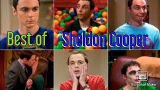 The Big Bang Theory The Best of Sheldon Cooper