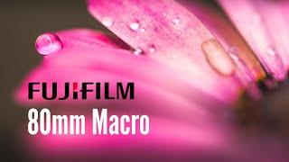 Backyard Macro Photography with the Fujifilm 80mm F2.8 Macro