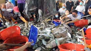 Fish！Fish！Fish！People jostled to get fish - Taiwan fish market