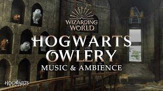 Harry Potter  Hogwarts Owlery Music & Ambience Peaceful and Relaxing Scenes with DayNight Cycle 