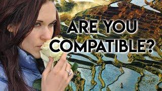 Incompatibility A Harsh Reality in Relationships - Teal Swan