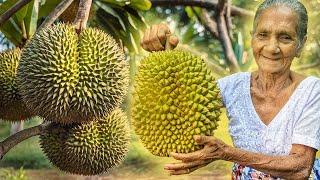Durian Smoothie  Durian Recipe  Durian Fruit Juice  Durian Shake