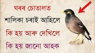 ঘৰলৈ শালিকা আহিলে আৰু দেখা পোৱাটো শুভ নে অশুভ এটা দেখাটো ভাল নে দুটা দেখাটো ভাল জানো আহক ।