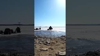 КАК НАЗОВЕМ ВИДЕО? #shorts #рыбалка #fishing #nature #fish #эдвардкосичка  #природа #влог  #отдых