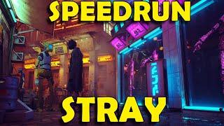 Stray Speedrun 13121 - Full Game Walkthrough