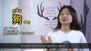 10 Special Animal WordsNames to Describe People in Chinese You Must Know - Learn Mandarin Chinese