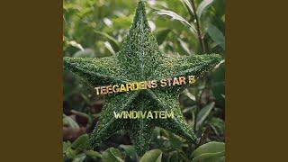 Teegardens Star B